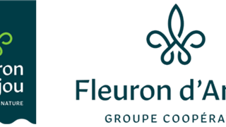 Pour la marque commerciale, le découpage en forme de bannière du Moyen Âge renvoie à un ancrage historique, tout comme aux stores des épiceries et aux sillons des champs de culture. Pour le logo de la marque corporate, la fleur de lys symbolise le haut niveau d‘exigence qualitatif. © Fleuron d’Anjou Pour la marque commerciale, le découpage en forme de bannière du Moyen Âge renvoie à un ancrage historique, tout comme aux stores des épiceries et aux sillons des champs de culture. Pour le logo de la marque corporate, la fleur de lys symbolise le haut niveau d‘exigence qualitatif. © Fleuron d’Anjou